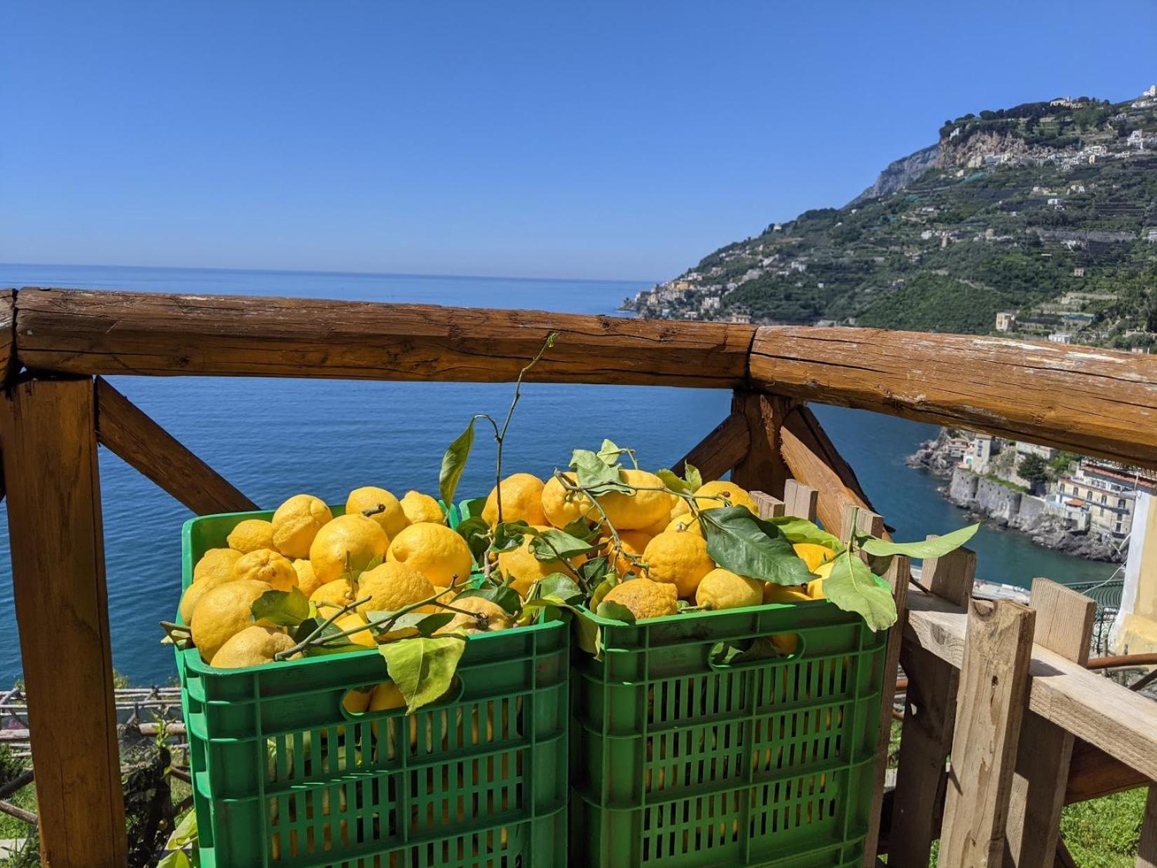 Casa Vacanze Freeholiday House Minori Esterno foto
